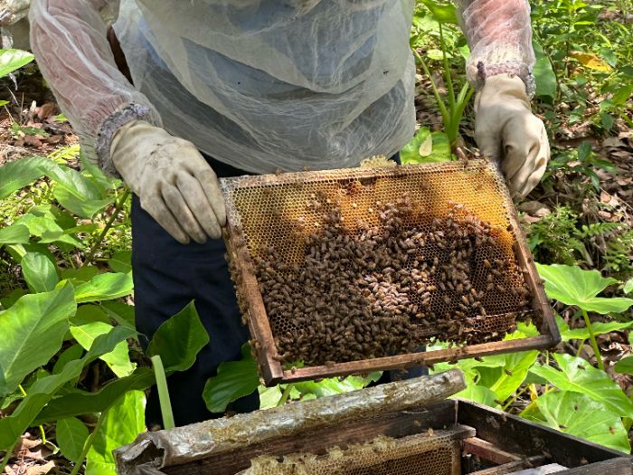 ���롰�ۡ��������h�h�������V���χ��|�Pꠡ�������ӿ���{�ЈF�_չ���^���ۮa�I�{��